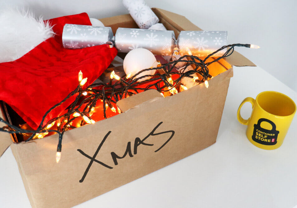CSS_What-You-Can-Store_Xmas_953x667